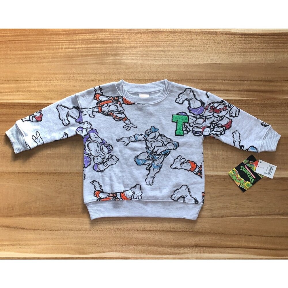 Nickelodeon Teenage Mutant Ninja Turtles Kids Sweatshirt Gray Graphic Design 2T - Picture 2 of 8